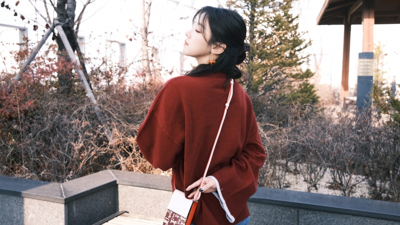 原神魈怎么配队 魈配队阵容推荐